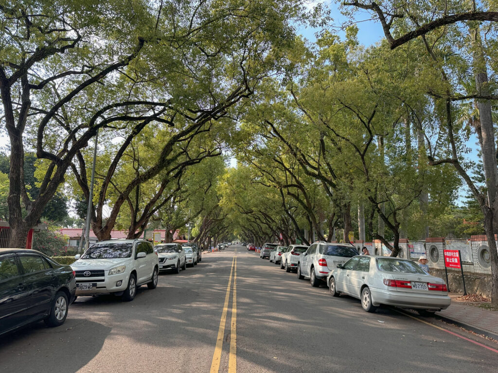 Zhongxing New Village: green tunnels with wide spacious roads and sidewalks 